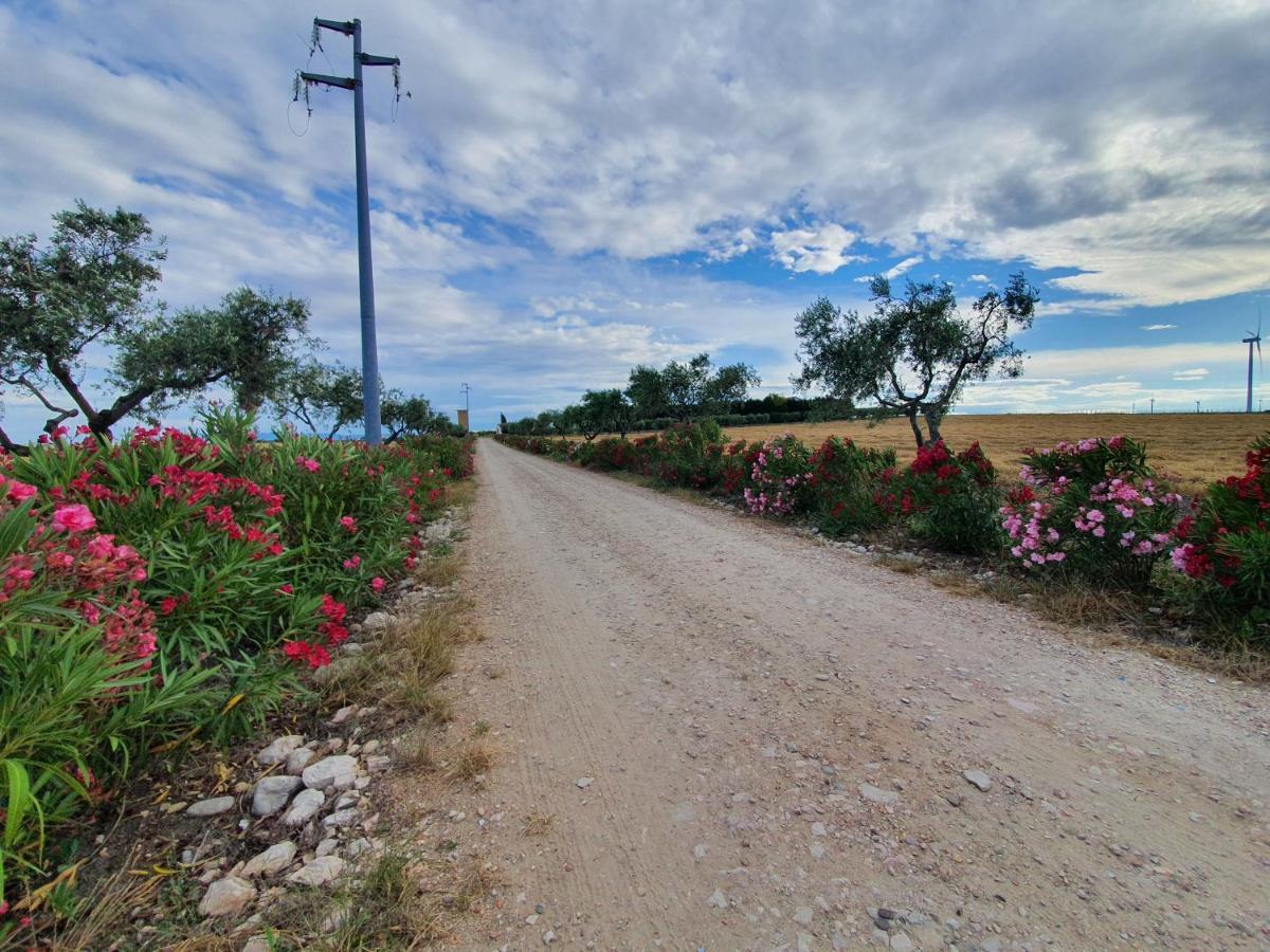 Tenuta Viale Degli Ulivi San Martino in Pensilis Экстерьер фото
