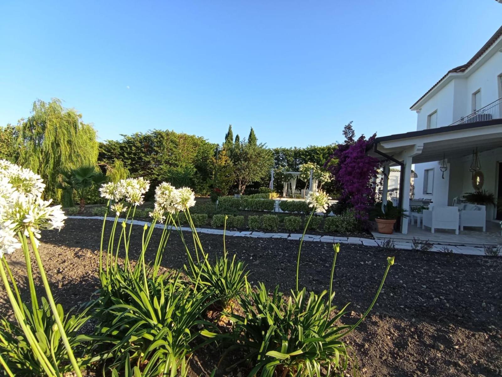 Tenuta Viale Degli Ulivi San Martino in Pensilis Экстерьер фото