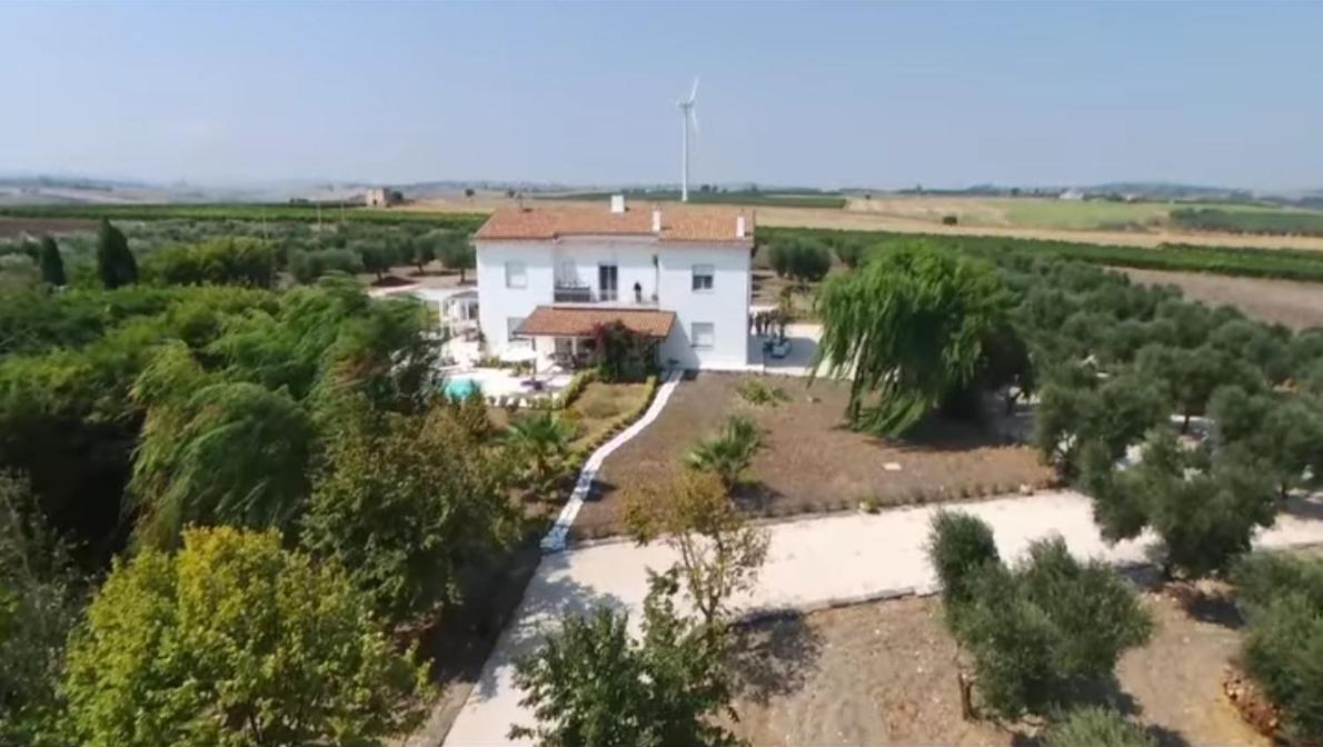 Tenuta Viale Degli Ulivi San Martino in Pensilis Экстерьер фото