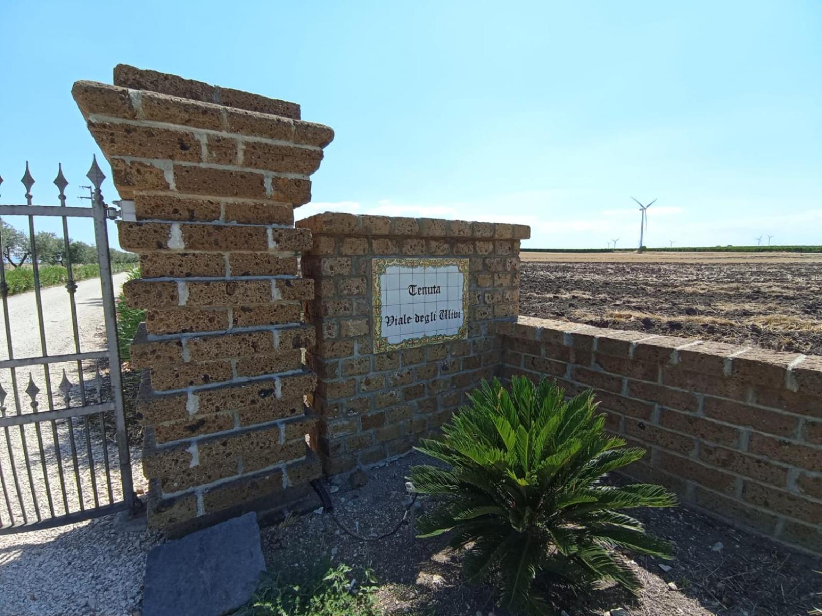 Tenuta Viale Degli Ulivi San Martino in Pensilis Экстерьер фото