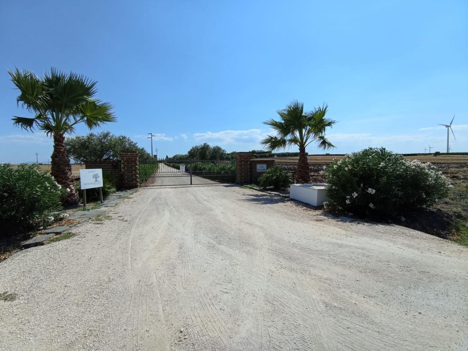 Tenuta Viale Degli Ulivi San Martino in Pensilis Экстерьер фото
